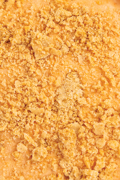 Goji Berry Cheesecake